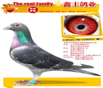 �����ݴ��ֱ��X��õ����Ů��