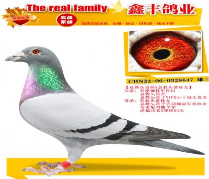 ���ܽ�ͷֱ��X�ܽ�ͷ����Ů��