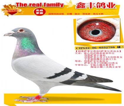 �������ƶ�ֱ��X���ƶ�ֱ��Ů