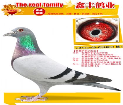 ���������ƶ����ס�