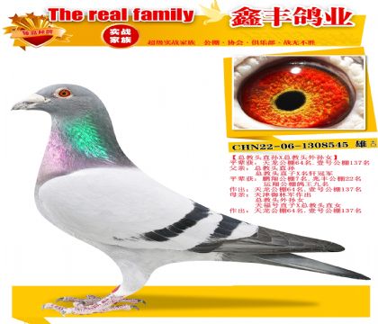 ���ܽ�ͷֱ��X�ܽ�ͷ����Ů��