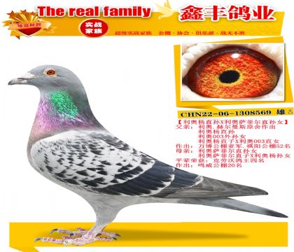 ��������ֱ��X��������ֱ��Ů��