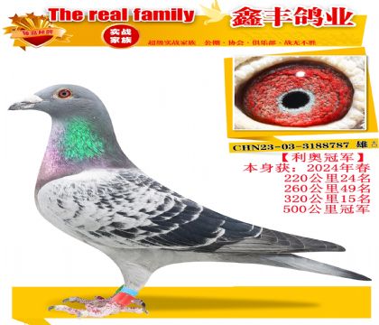 �����¹ھ���