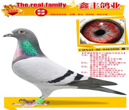 ����ɭ��˹ɣ��ʿX�ǹ���ֱ��Ů��