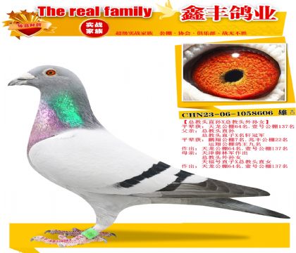 ���ܽ�ͷֱ��X�ܽ�ͷ����Ů��