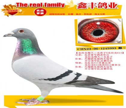 ����������������ֱ��X������613����