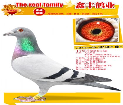 ���ɸ�31��X������18����