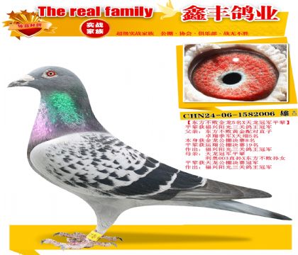 ���������ܽ���5��X�����ھ�ƽ����