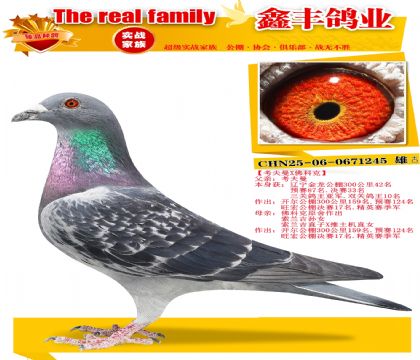 ��������X��ƿˡ�