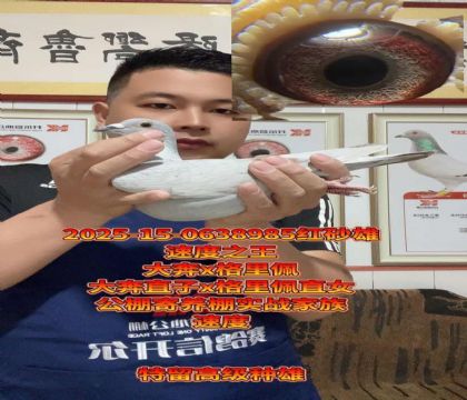 ��x�����壡�����߼����ۣ���������