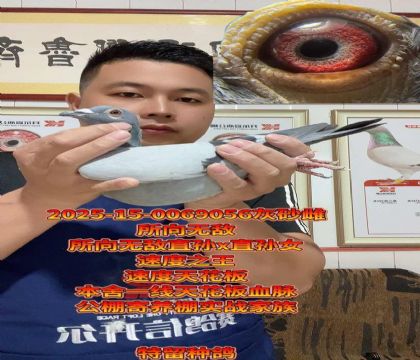 �컨��Ѫ���������޵�������ֱŮ