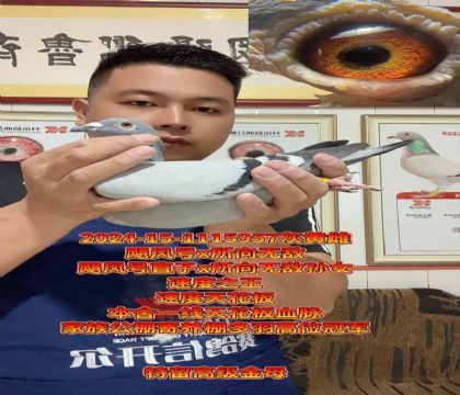 쫷��ֱ��x�����޵�ֱ��Ů���߼���ĸ
