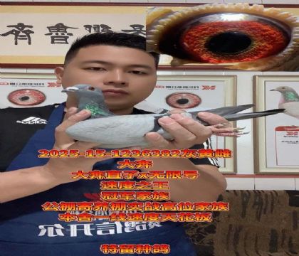 ������ĸ����ֱ��x���޺�288