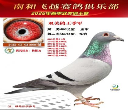 ˫�ظ�������