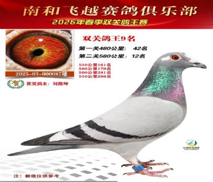 ˫�ظ���9��