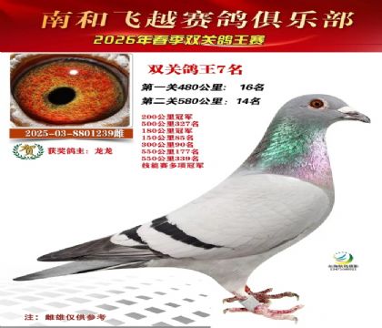 ˫�ظ���7��