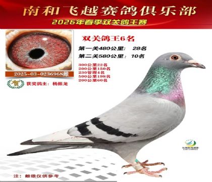 ˫�ظ���6��