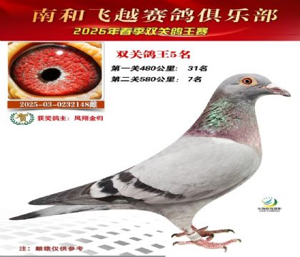 ˫�ظ���5��