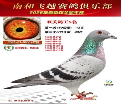 ˫�ظ���8��