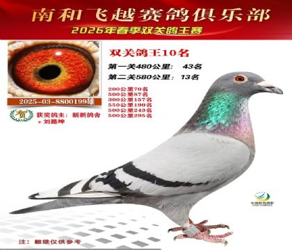 ˫�ظ���10��