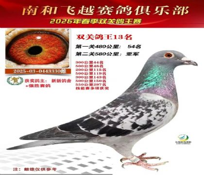 ˫�ظ���13��