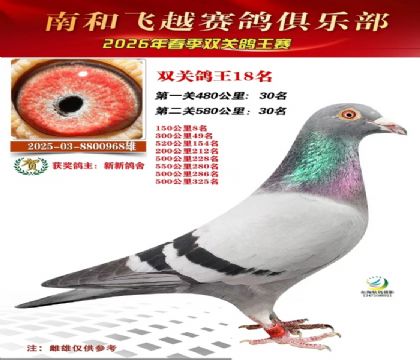 ˫�ظ���18��