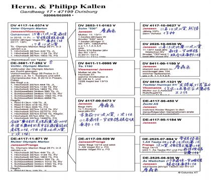 ���ķ���