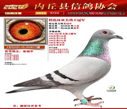 �رȻ�˫���ۺϹھ�