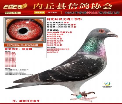 �رȻ�˫���ۺϼ���