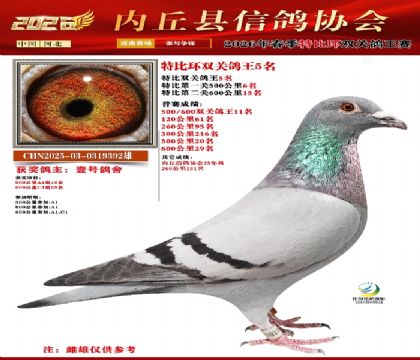 �رȻ�˫���ۺ�5��