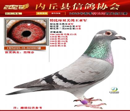 �رȻ�˫���ۺ��Ǿ�