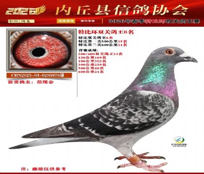 �رȻ�˫���ۺ�6��