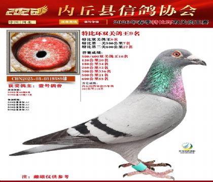 �رȻ�˫���ۺ�9��