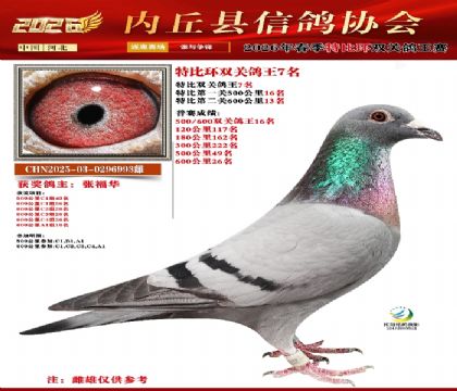 �رȻ�˫���ۺ�7��