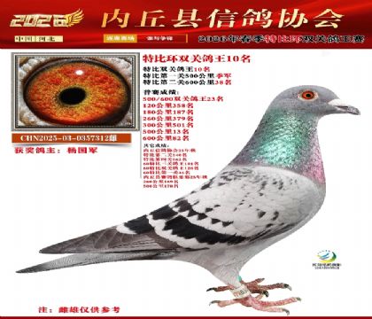 �رȻ�˫���ۺ�10��