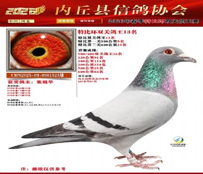 �رȻ�˫���ۺ�13��