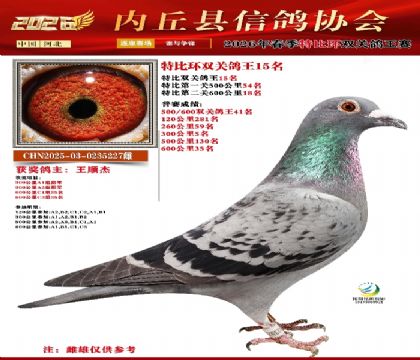 �رȻ�˫���ۺ�15��