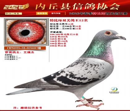 �رȻ�˫���ۺ�12��