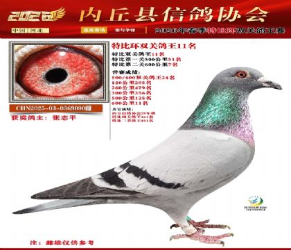 �رȻ�˫���ۺ�11��