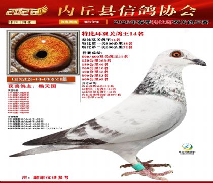 �رȻ�˫���ۺ�14��