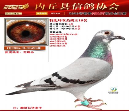 �رȻ�˫���ۺ�16��