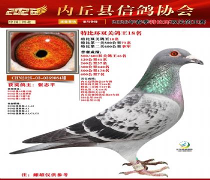 �رȻ�˫���ۺ�18��