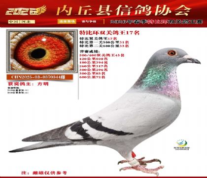 �رȻ�˫���ۺ�17��