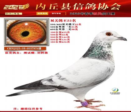 500-600˫�ظ���22��