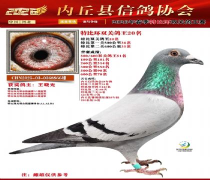 �رȻ�˫���ۺ�20��