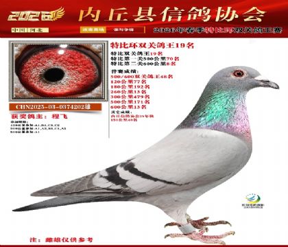 �رȻ�˫���ۺ�19��