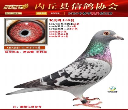 500-600˫�ظ���68��