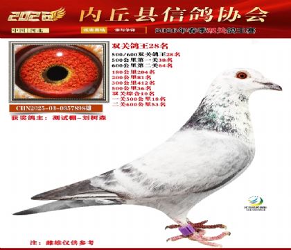 500-600˫�ظ���28��