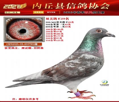 500-600˫�ظ���29��