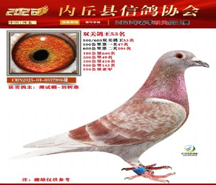 500-600˫�ظ���53��